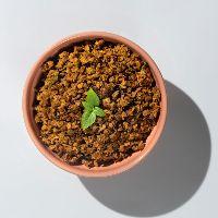 imagem Veg Meat (unidade)