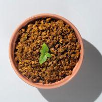 imagem Veg Meat (unidade)